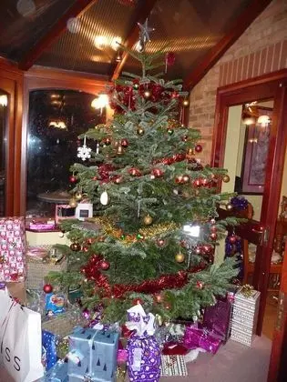 Burgh House - İç Mekan