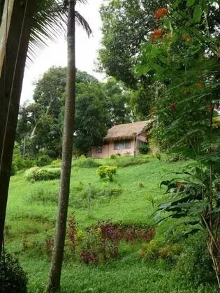 Buritara Resort and Spa, Kanchanaburi - Dış Mekan