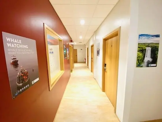 Bus Hostel Reykjavik