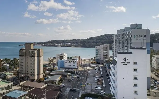 Busan Gijang Brown Dot