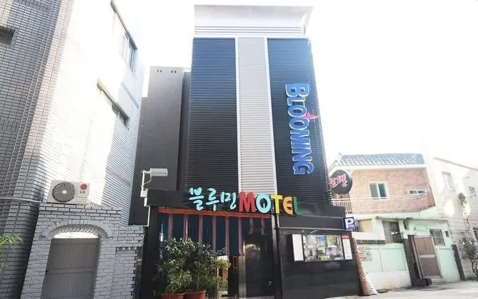 Busan Suyeong Blooming
