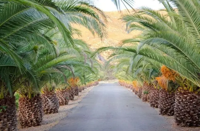 Bushmanspad Estate - Dış Mekan