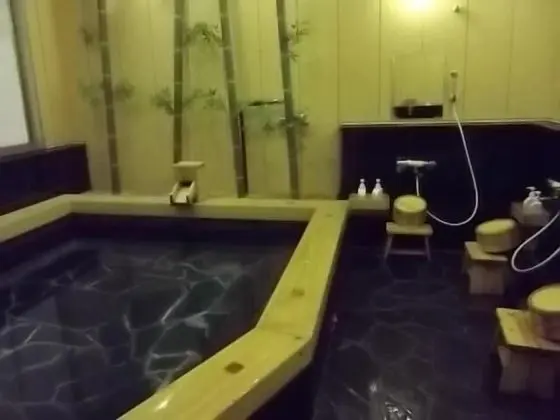 Business Daiichi Hotel - Spa