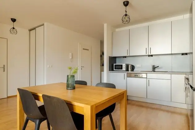 Business & Family Ambiente Apartments - Mutfak