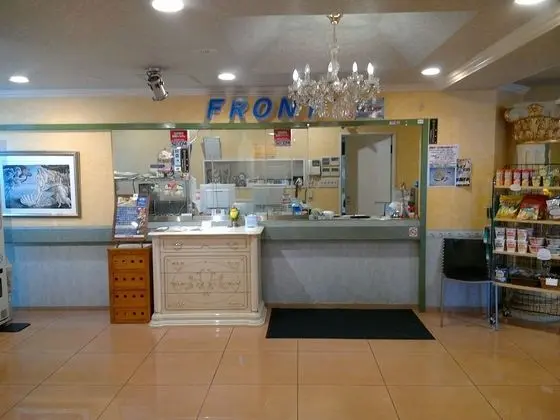 BUSINESS HOTEL La Firenze - Lobi