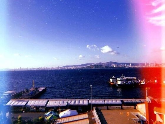 Butik AkvaryumFotoğrafı