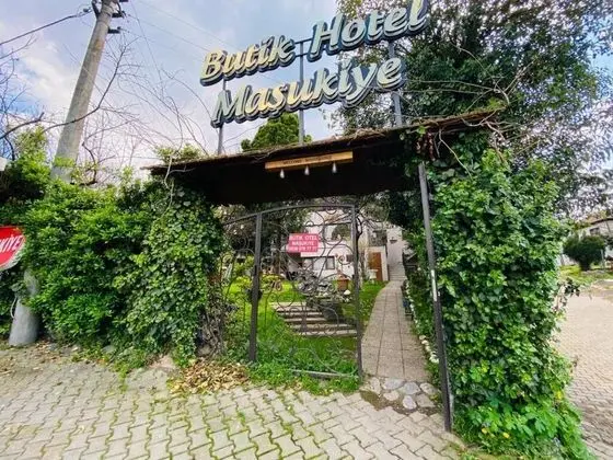 Butik Otel Maşukiye - Giriş