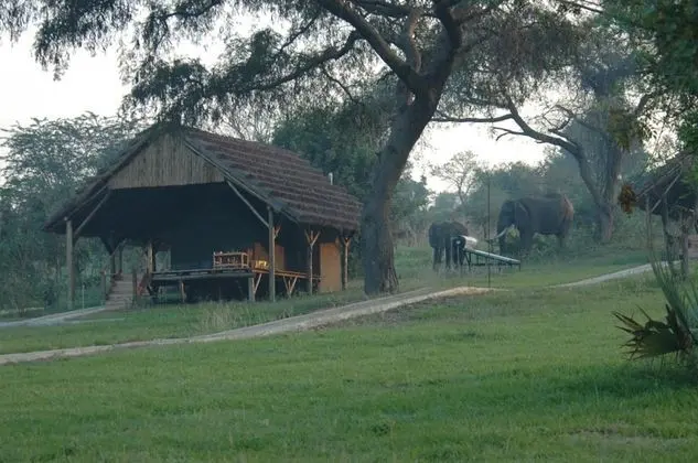 Bwana Tembo Safari Lodge