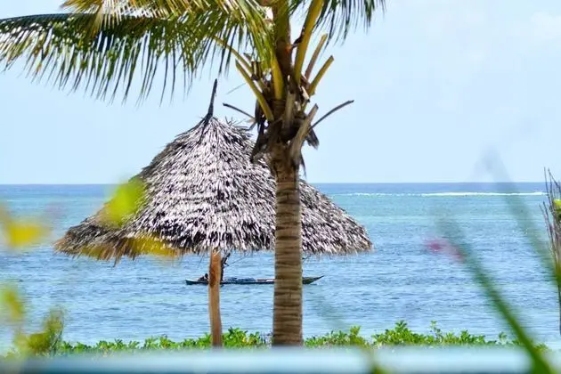 Bwejuu Beach Palm Villa
