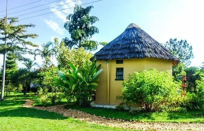 Bwindi Cultural Centre - Dış Mekan