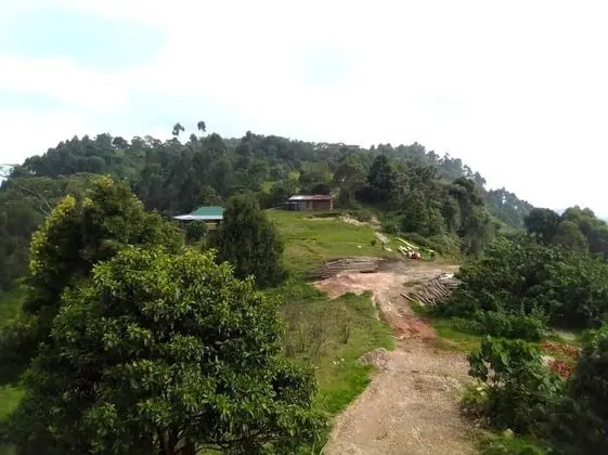 Bwindi Panorama Resort - Dış Mekan