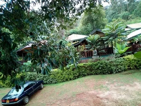 Bwindi View Lodge & Camp Site - Dış Mekan
