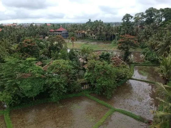 Byasa Ubud - Dış Mekan