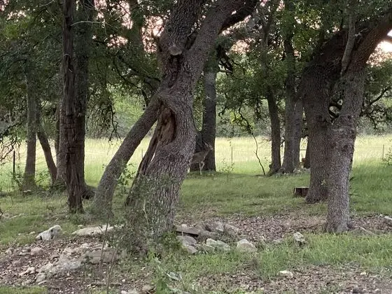 C&C Family Ranch - Dış Mekan