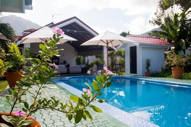 Villa Caballero Luxury Chalets - Havuz