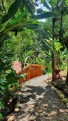 Cabaña el Río - Oda Düzeni