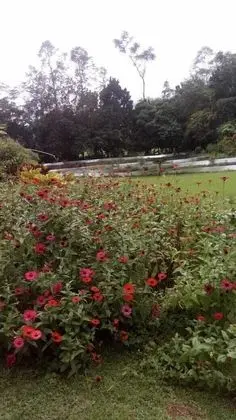 Cabana en Finca Agroecolgica los Pilares - Öne Çıkan Resim