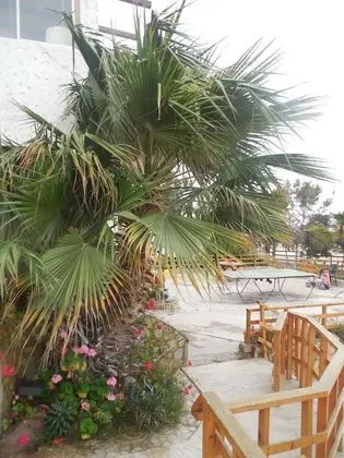 Hotel & Cabañas El Mirador - Lobi