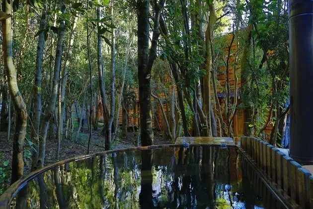Cabañas Ensenada Bosque Nativo - Spa