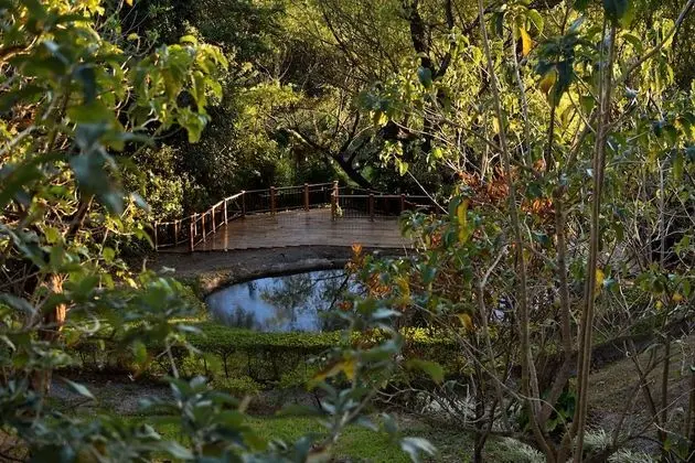 Cabañas La Laguna Lodge - Oda Düzeni