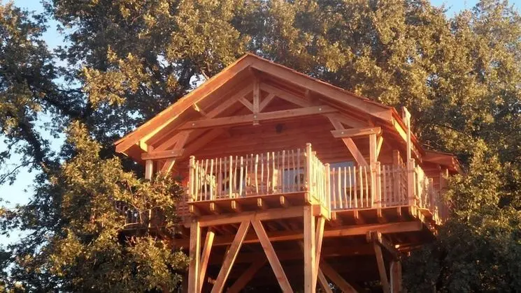 Cabane d'hôtes avec Spa Aura Cabana