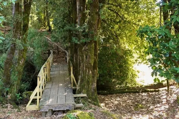 Cabin Chalet Type in Pucon - Mülk Olanakları