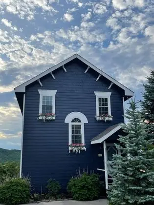 Cabin with Jacuzzi & Pool Access