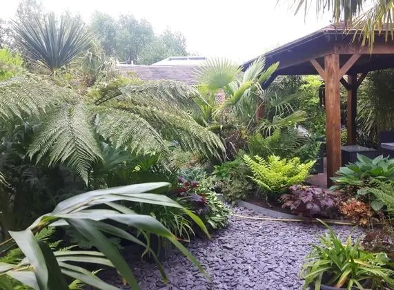 Cabin set in a Beautiful Romantic Tropical Garden - Dış Mekan