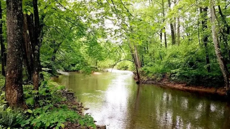 Cabin at Sleepy Creek