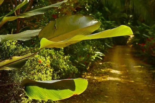 Cabinas Los Laureles - Dış Mekan