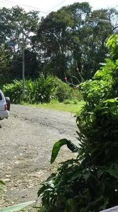 Cabinas Manzanillo Caribe Sur CR - Dış Mekan