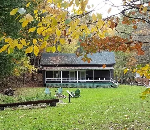 The Cabins at Healing Springs