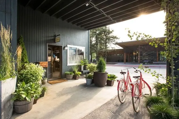 Cache House - Dış Mekan