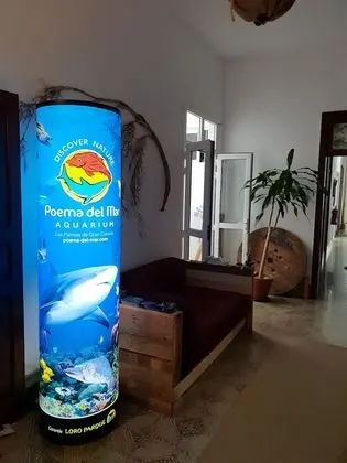 Cactus Host - İç Mekan