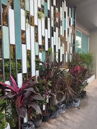 Cactus Resort & Hotel - Dış Mekan