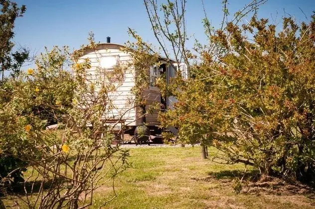 Cadleigh Manor B&B - Dış Mekan