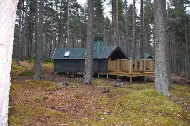 Cairngorm Bothies - Oda Düzeni