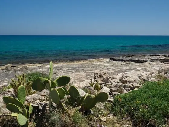 Cala Sol - Viola - Plaj