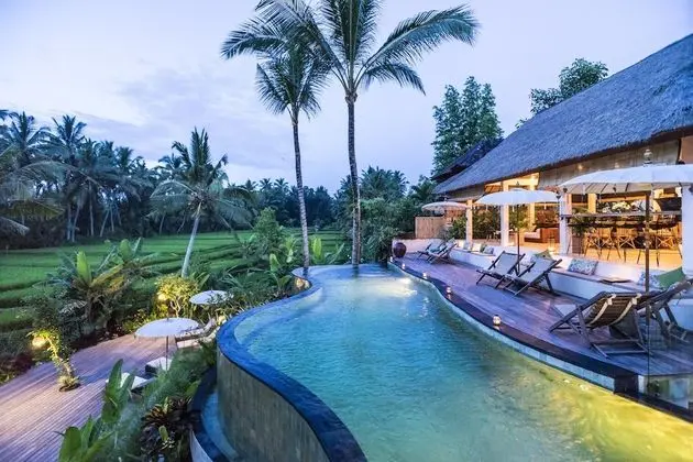Calma Ubud - Havuz