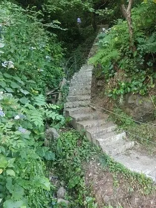 Calypso Kvariati Inn - Dış Mekan