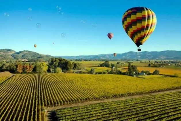 Cambria Hotel Napa Valley