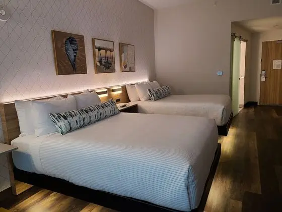 Cambria Hotel Rock Hill - University Center - Oda