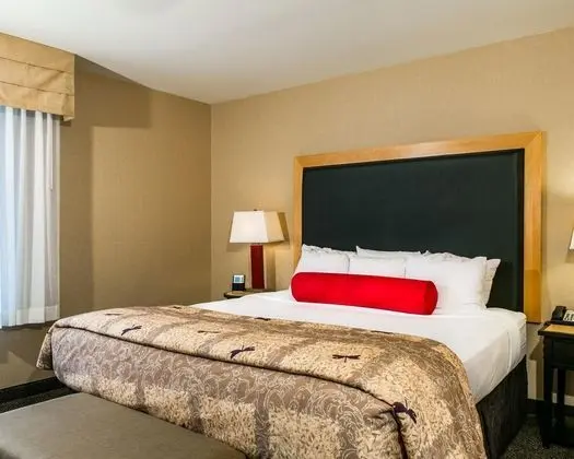 Cambria Suites Fort Collins
