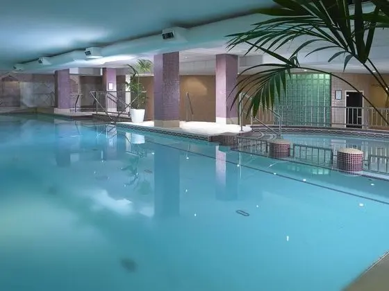 Camden Court Hotel - Havuz