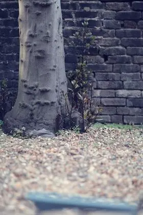 Camden Road Apartments