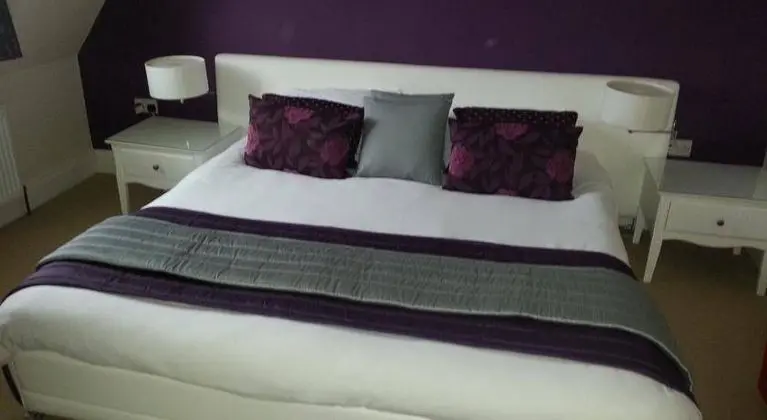 Camelia Hotel - Genel