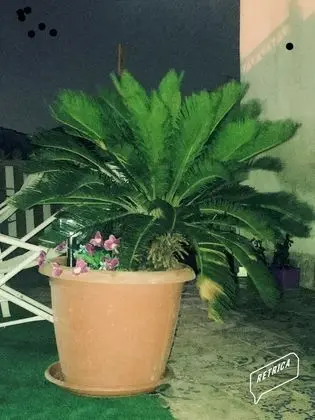 Camelot B&B Palermo - Dış Mekan