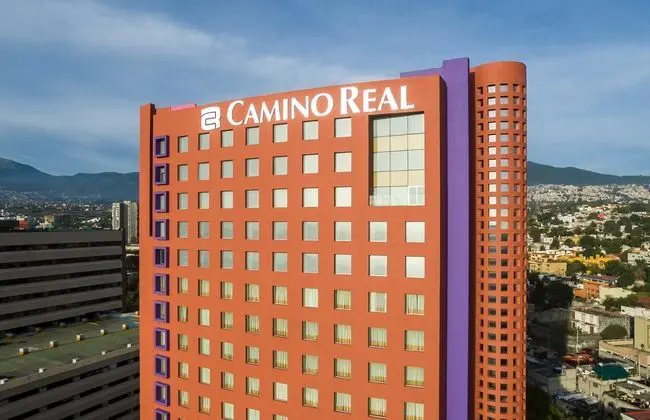 Camino Real Pedregal - 1