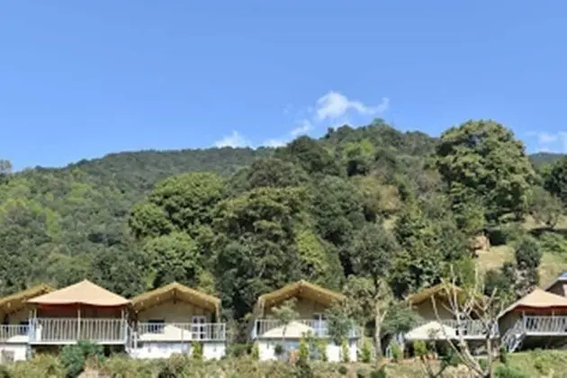 Camp Cedar