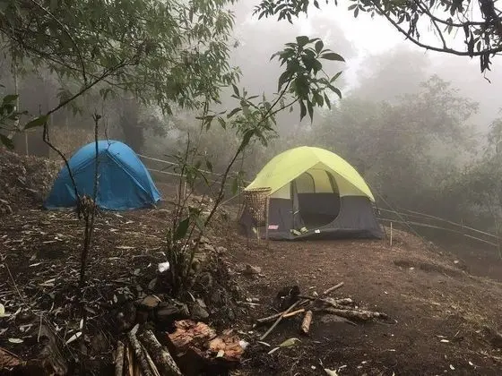Camp David Kigwema - Oda